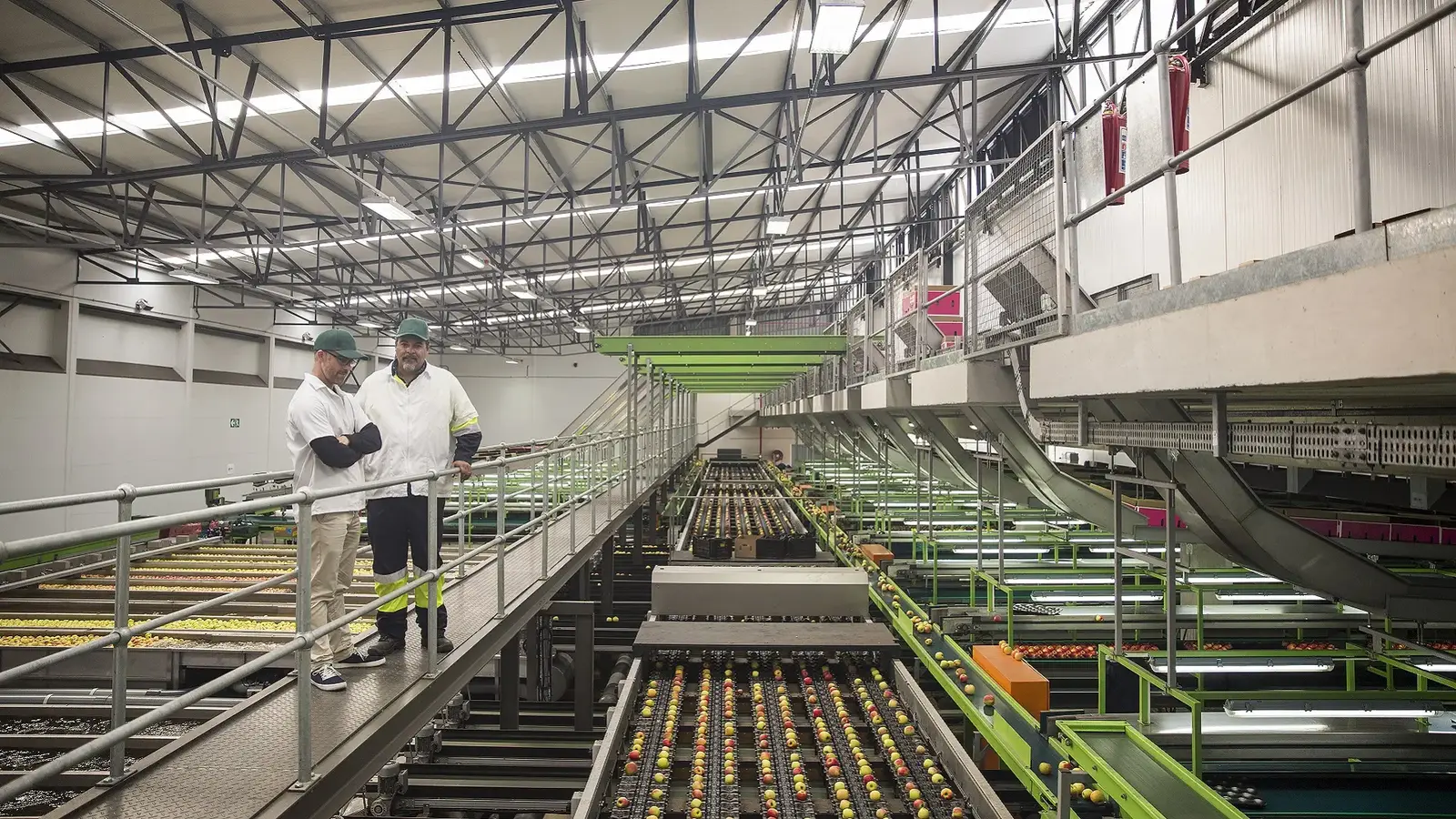 Efficient Food Processing Factory with Distribution Center