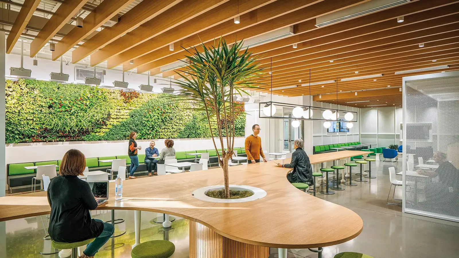 Large Capacity Packaging Plant for Food Products