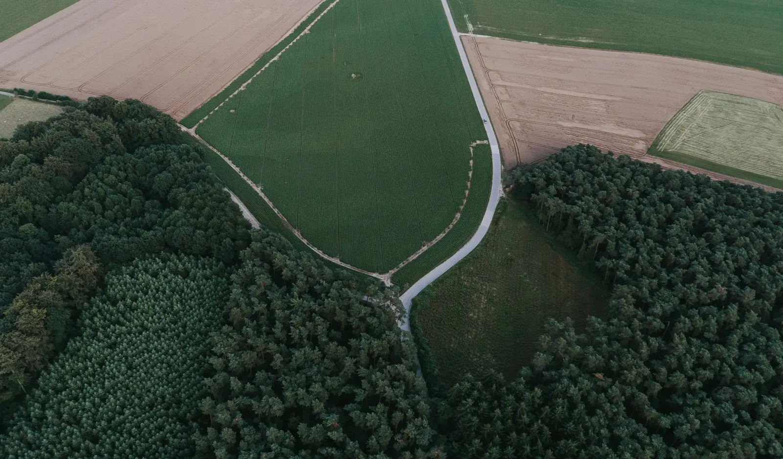 Strategically Located Agricultural Land with Utilities